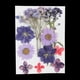 thumbnail image 3 of 2 Bolsas de Flores Secas Reales Naturales, Hojas Prensadas, Artesanías Florales para Bricolaje, Adorno para álbum de Recortes, Fabricación de Tarjetas, 3 of 9