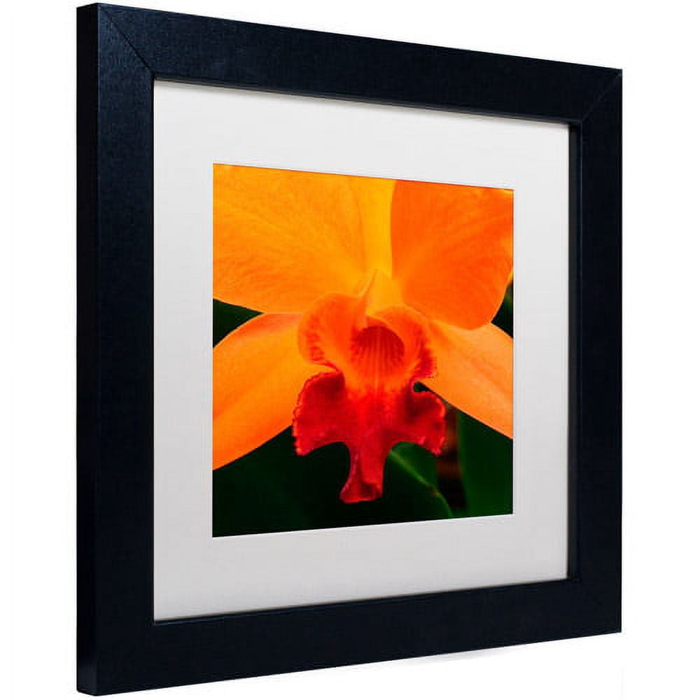 Trademark Fine Art "Brilliant Orchid on Fire" Canvas Art by Kurt Shaffer, White Matte, Black Frame