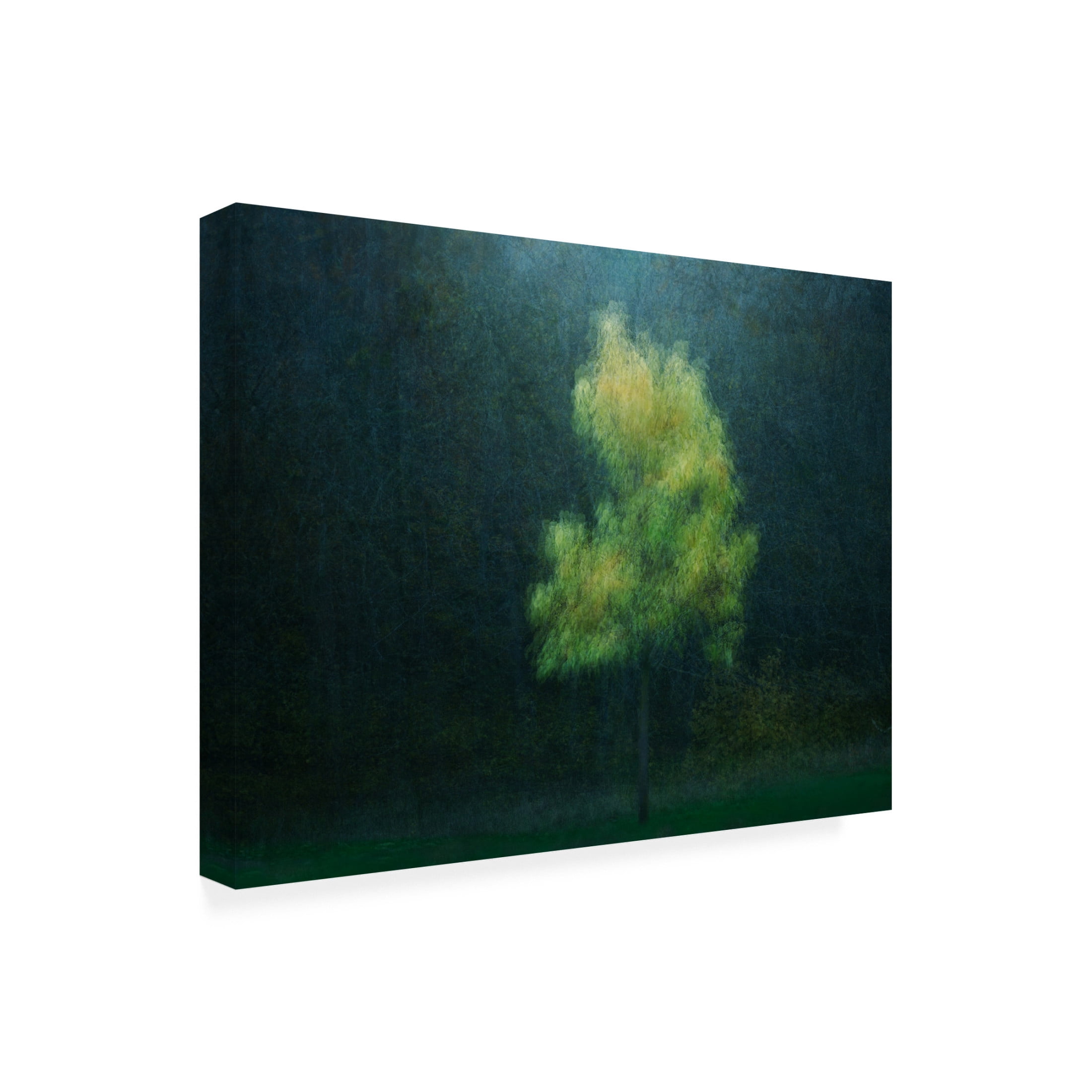 Canvas Wall Art - Delphine Devos 'Yellowing' Wall Art for Living Room, Bedroom, or Office Décor by Trademark Fine Art - 24 x 18 Inches