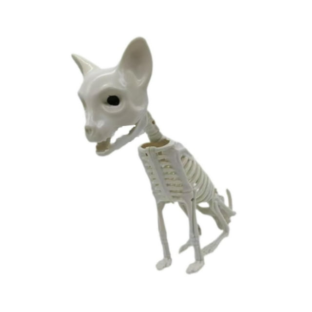 Figura de esqueleto de animal de Halloween, adorno de escritorio creativo y espeluznante, decoración para el hogar Gato de algalia