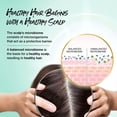 thumbnail image 4 of Acondicionador Biotera Hidratante 960 ml Hidrata el cabello seco, 4 of 7