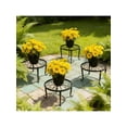 thumbnail image 6 of 4-Piece High-Quality Metal Plant Stand Set - Rust-Proof Wrought Iron Single-Tier Circular Planter Stand for Indoor/Outdoor Balcony & Garden (Heavy-Duty Decor for Plant Enthusiasts), 6 of 11