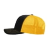 Black / Gold