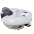 thumbnail image 2 of Soporte Para Alimentación Soporte Fijo Para Comedero Comedero Para Pájaros Azul, 2 of 4