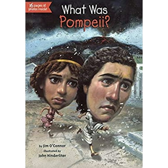 Pre-Owned What Was Pompeii? (Library Binding) 9780606341554