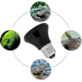 thumbnail image 3 of Turtle Heat Bulb 50W Pet Heat Lamp Ceramic Heat Lamp Infrared Reptile Heat Lamp, 3 of 3