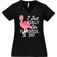 thumbnail image 3 of Inktastic I Just Really Like Flamingos Ok with Pink Flamingo Women's Plus Size V-Neck T-Shirt, 3 of 5