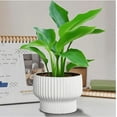 thumbnail image 6 of White Ceramic Ribbed Planters (2 Count), 6 of 7