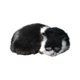 thumbnail image 1 of Simulación De Gato Modelo De Animal Juguete Para Gatos Manualidades Decoración Para El Hogar Accesorios Para Fotografía, 1 of 4