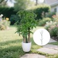 thumbnail image 4 of Stackable Support Stakes for Climbing Indoor Outdoor Garden Use Tall Potted Alternative to Poles 70cm 100cm Length, 4 of 4