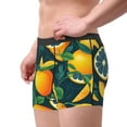 thumbnail image 4 of Kll Fresh Orange Men'S Cotton Boxer Briefs Underwear-X-Large, 4 of 9