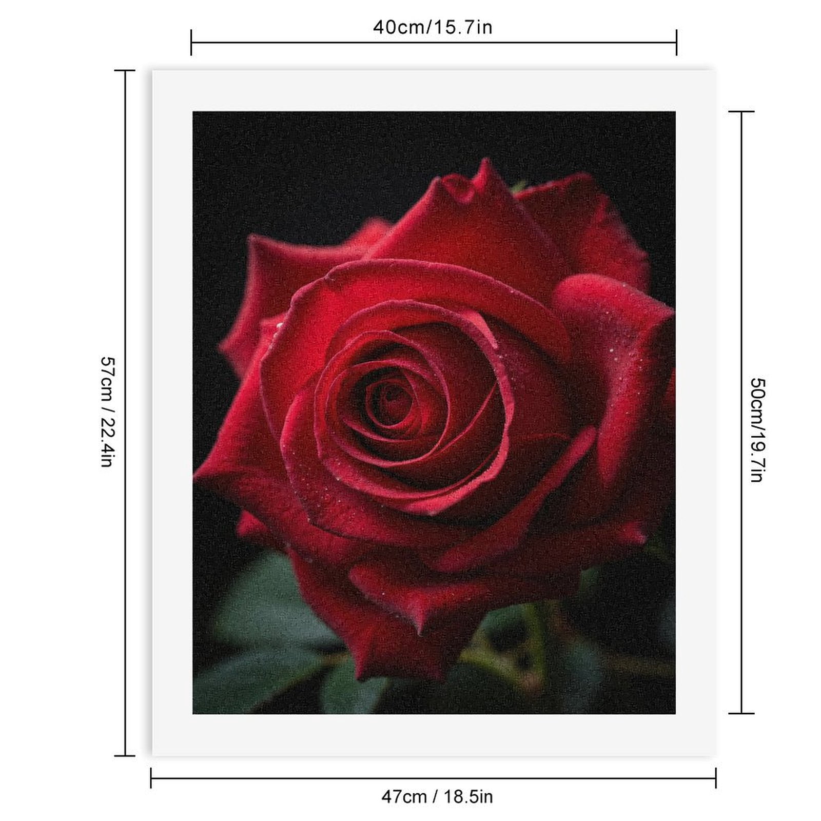 Paint By Numbers Kit for Adults Beginner - DIY Red Rose Close Up Petals Bloom Canvas Painting Kits for Adults, Frameless Paint By Number for Adults for Home Wall Decor 16x20 Inch