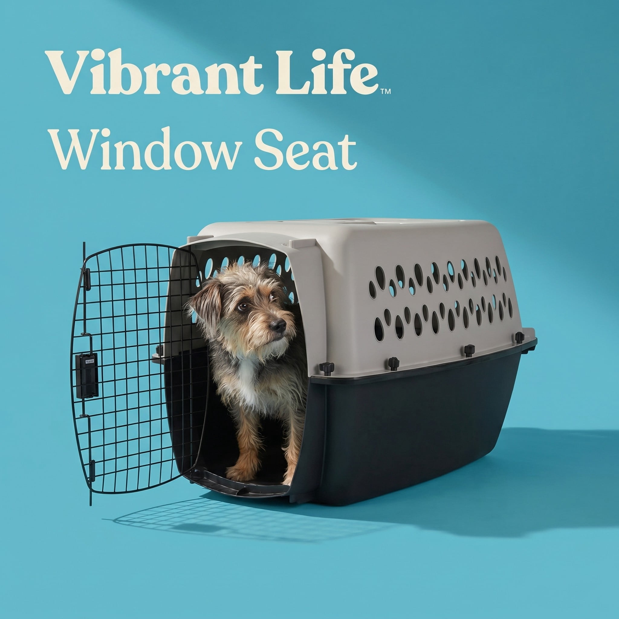 (2 pack) Vibrant Life Small Plastic Hard-Sided Pet Carrier, Black and Gray, 15 lb Limit