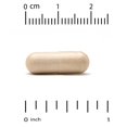 thumbnail image 3 of Suplemento de bálsamo de limón EuroHerbs de California Gold Nutrition, 500 mg, 60 cápsulas vegetarianas, 3 of 5