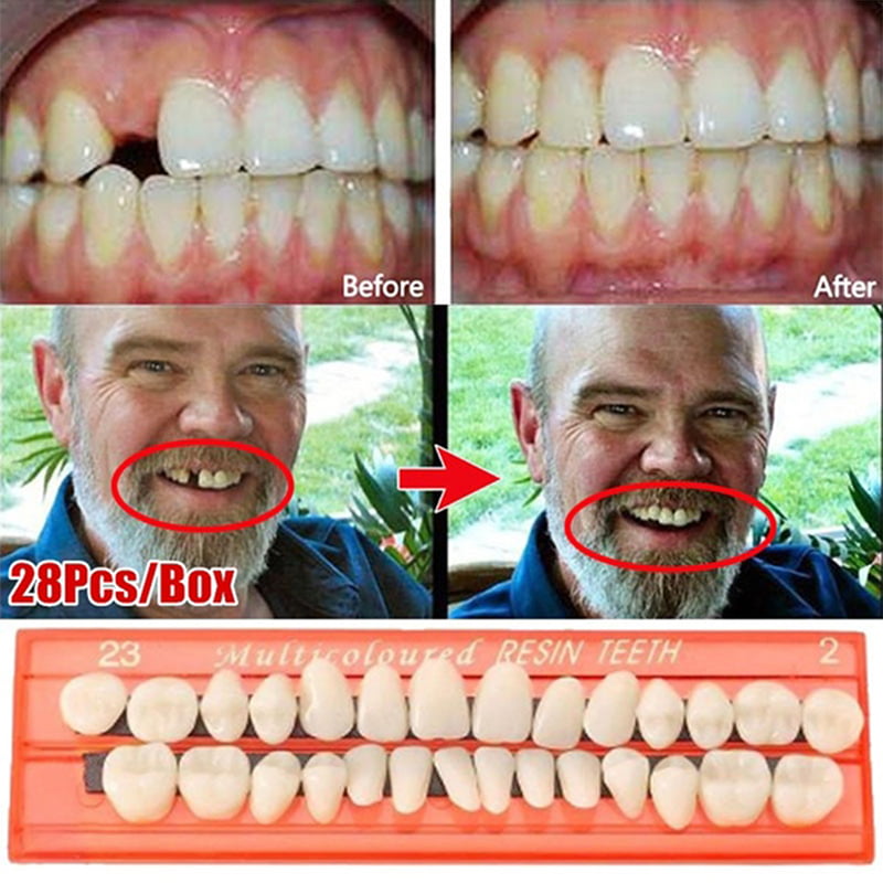 28Pcs/Set Resin Teeth Teaching Model Universal False Teeth Dental ...