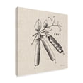 thumbnail image 2 of Trademark Fine Art 'Burlap Vegetable BW Sketch Peas' Canvas Art by Studio Mousseau, 2 of 3