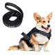 thumbnail image 1 of Pechera Arnes + Correa Perro E-pets Ajustable Raza Mediana, 1 of 7