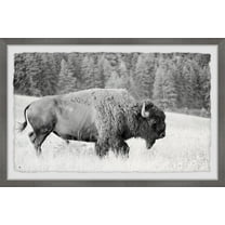 Marmont Hill Buffalo Grazing Framed Wall Art