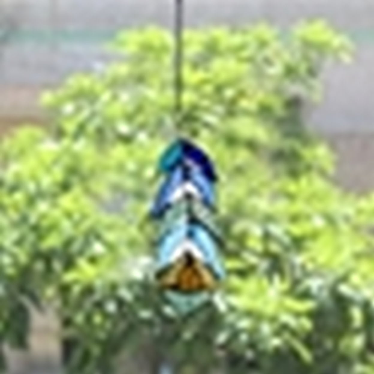CHLOE Lighting FEATHER Tiffany-Style Stained Glass Window Panel 7" Tall, Black