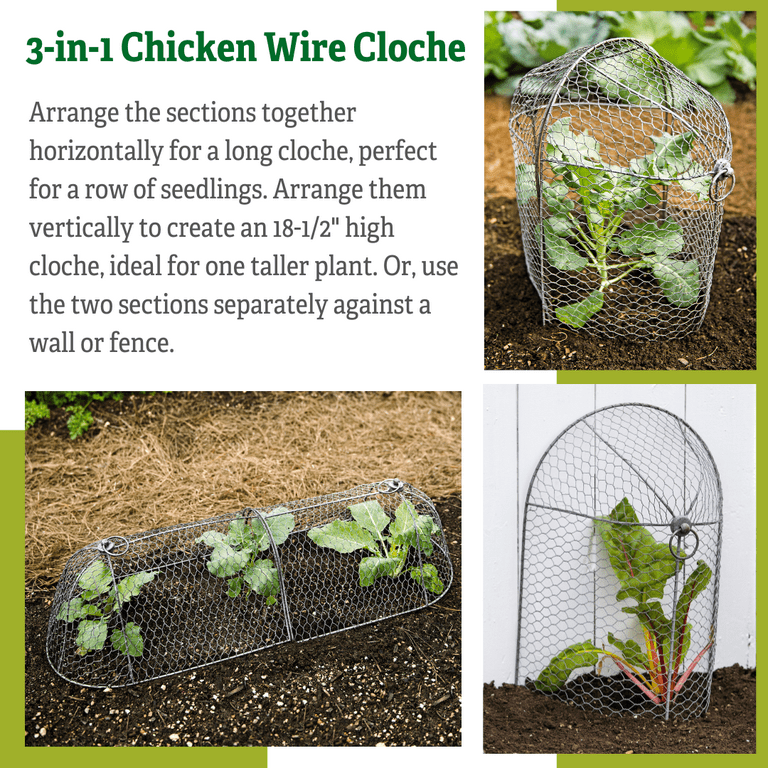 Chicken Wire Mesh Cloche with Base for Plants, Set of Three