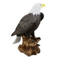 thumbnail image 5 of Ebros Gift 8.75” American Pride Bald Eagle Perching On Tree Branch Garden Statue, Hand Painted, 5 of 9