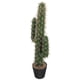 thumbnail image 3 of 2026 Artificial Saguaro Cactus Faux Plants Simulation Cactus in Pot Fake Plant Bonsai, 3 of 4