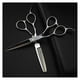 thumbnail image 5 of Juego de tijeras profesionales para cortar el cabello, de acero inoxidable, de 15 cm (6 pulgadas), para entresacar el cabello y lograr un corte preciso., 5 of 5