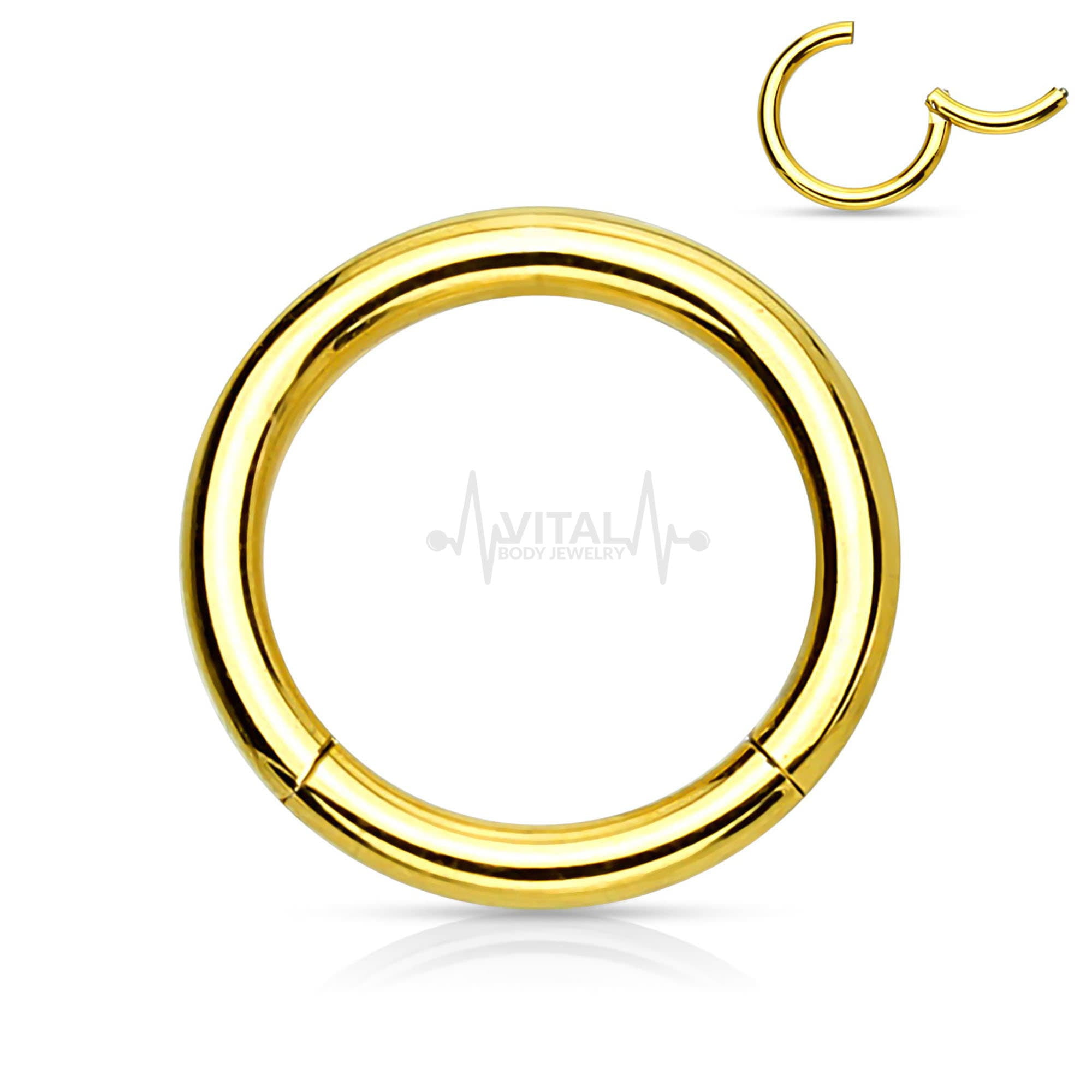 18G Hinged Seamless Segment Ring .925 Sterling Silver Nose ring Earring Septum 
