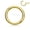 Gold, variant on Titanium • Nose Ring, 18G, Septum Ring, Earring, Seamless, Segment Hinged Hoop • Vital Body Jewelry