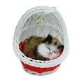 thumbnail image 2 of Simulation Cute Cats Kitten Sound Plush Doll Toy Hanging Basket Home Decoration, 2 of 8