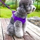 thumbnail image 4 of Arnés para perros pequeños con acolchado ajustable de malla tipo sándwich para paseos seguros y cómodos, con correa para el pecho y la espalda para razas medianas. Suministros para mascotas, 4 of 7
