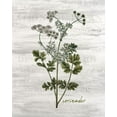 thumbnail image 2 of Allen, Kimberly 12x14 Black Ornate Wood Framed with Double Matting Museum Art Print Titled - Fresh Cut Herbs 3, 2 of 4