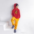 thumbnail image 3 of Harry Potter Pullover Hoodie - Lightweight, Boys & Girls Youth Kids Daily Hoodie, Small, Crest Red, 3 of 5