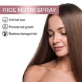 thumbnail image 3 of 3x Zephta Hair Regrowth ProRevita Rice Nutri Spray, Spray ayudante para el cabello debilitado y la caída del cabello, Spray de agua de arroz para el crecimiento del cabello, 3 of 5