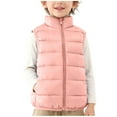 thumbnail image 3 of Generic Boys Girls Puffer Vest Quilted Zip Up Sleeveless Jackets Warm Winter Down Vest with Pockets for Kids 2-12Years, 3 of 6