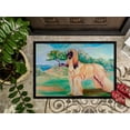 thumbnail image 3 of Carolines Treasures 7138MAT Tapis Intérieur Extérieur 18 x 27 Po. Afghan Hound, 3 of 4