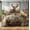 APX, variant on VISI-ONE Realtree Edge Camo Full 3 Piece Comforter Set – Rustic Western Country Style with Farmhouse Vibes, Perfect All Season Bedding for Lodge, Cabin, Outdoor Lovers, Nature Lovers