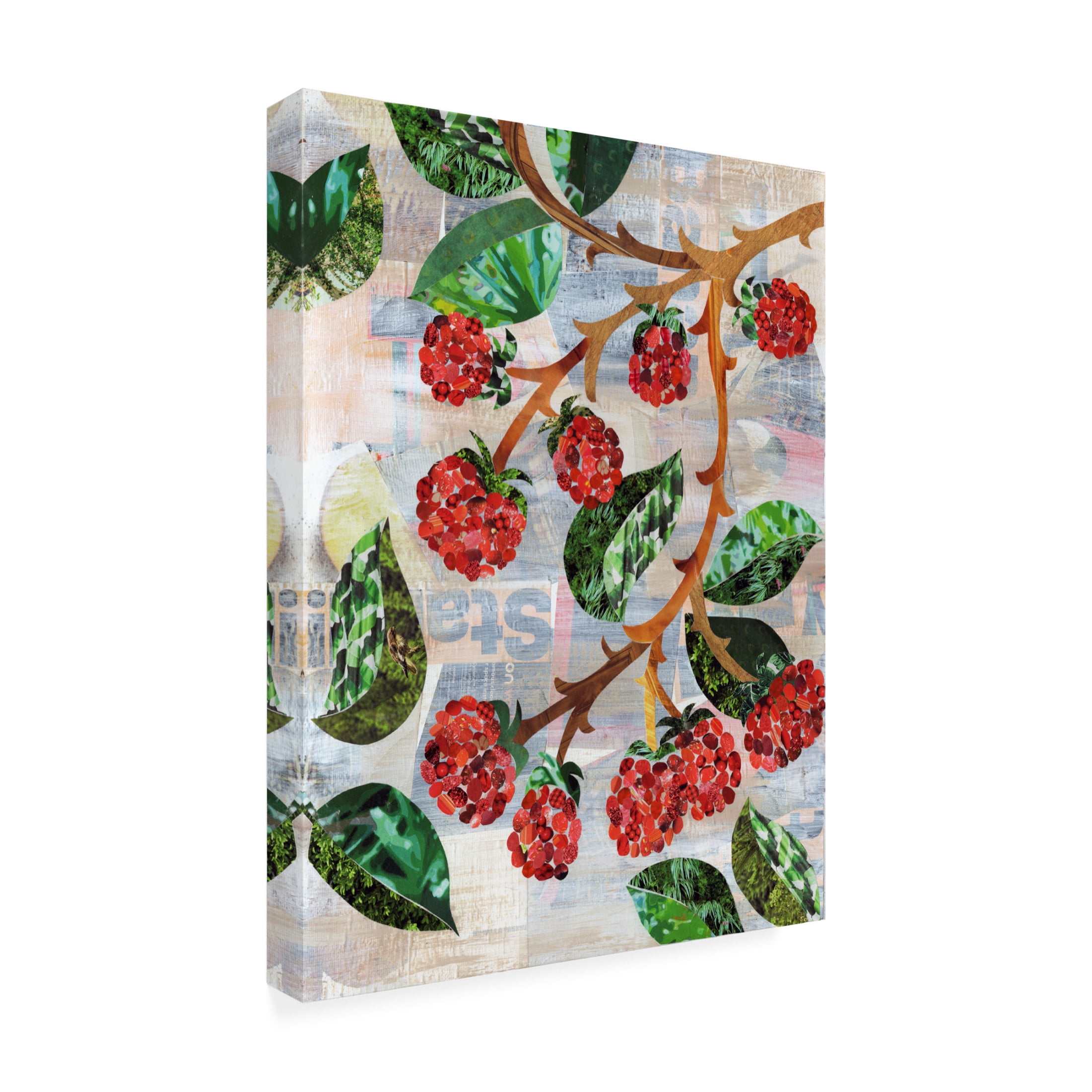 Canvas Wall Art - Artpoptart 'Berries' Wall Art for Living Room, Bedroom, or Office Décor by Trademark Fine Art - 35 x 47 Inches