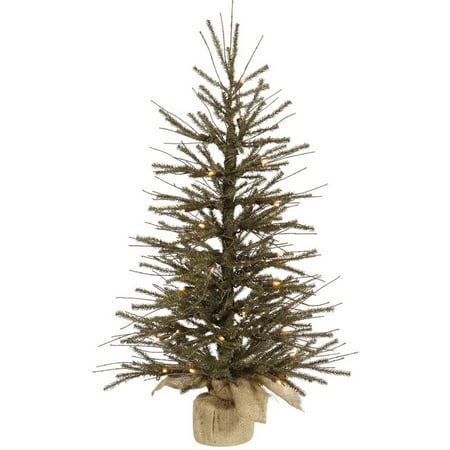 Vickerman 36 Vickerman 36