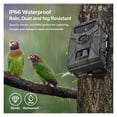 thumbnail image 2 of 20MP 1080P Trail Camera Wildlife Tracking Surveillance Tracking HC804A Night Vision Wild Cameras Photo Traps ,Lightweight  Compact, 2 of 5