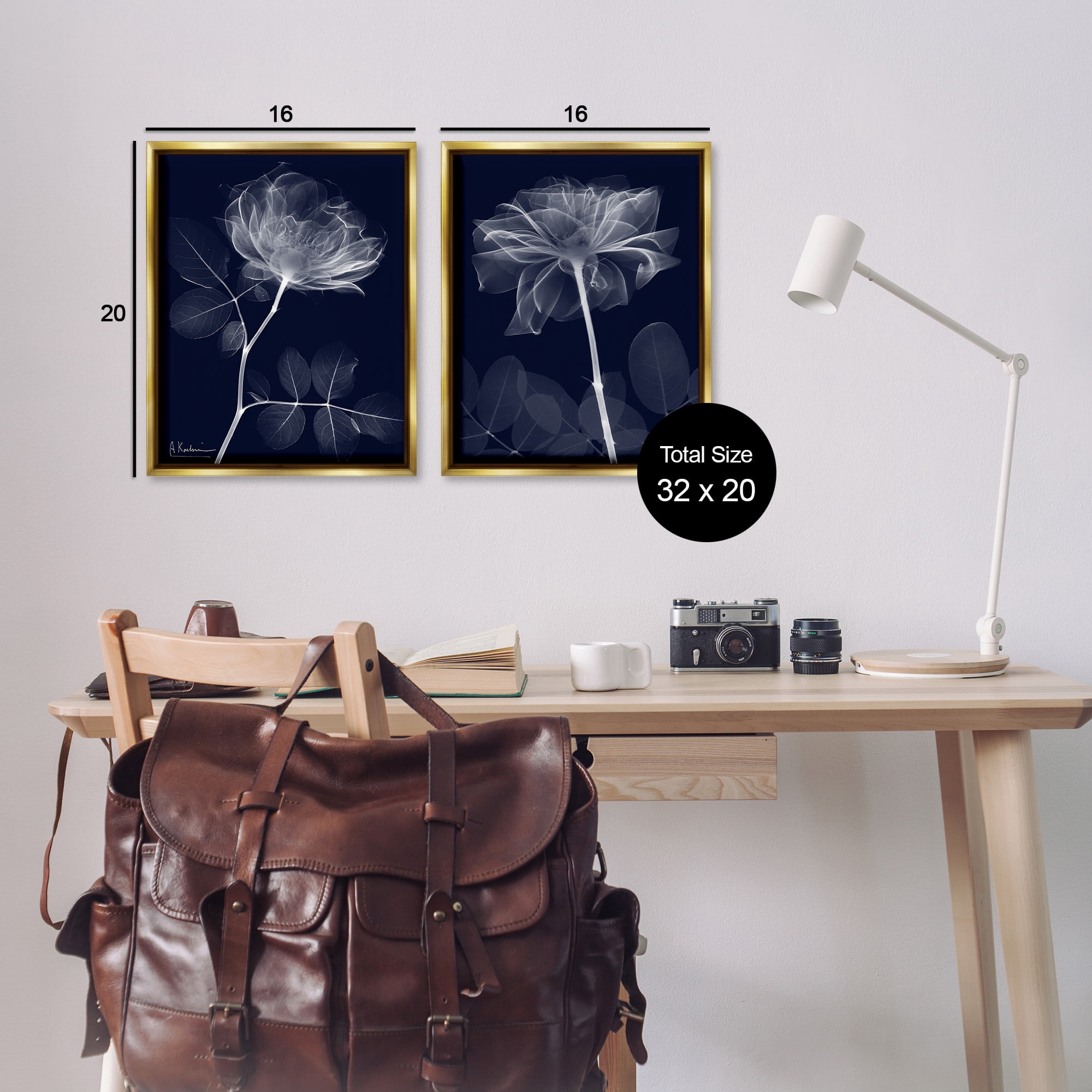 Stupell Industries X-Ray Blossom on Black Botanical & Floral Photography Gold Floater Framed Canvas Art Print Wall Art, 17 x 21, Set of 2