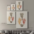 thumbnail image 4 of Knorr Shells & Coral IV Premium Gallery Wrapped Canvas - Ready to Hang, 4 of 9