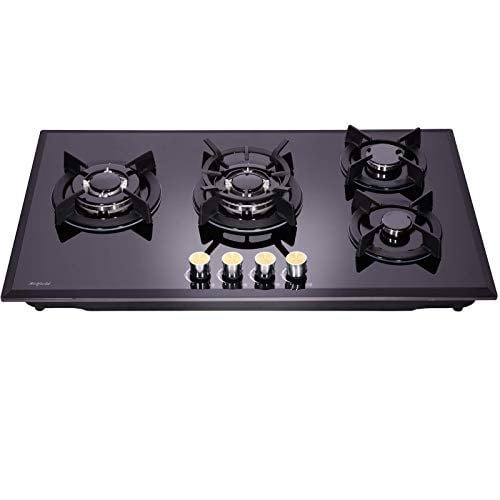 gilma stove 2 burner