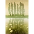 thumbnail image 2 of Poplar Trees And Yellow Flag Irises Poster Print By Malcolm Greensmith ?? Adrian Bradburymary Evans, 2 of 4