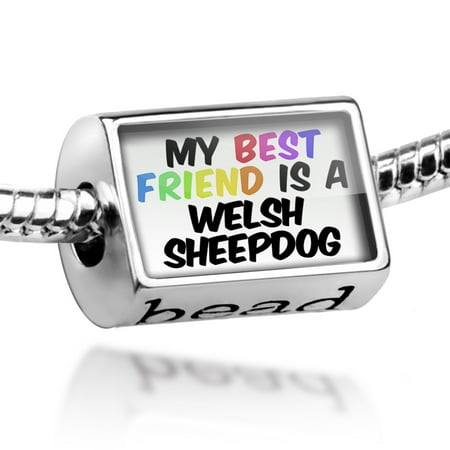 Bead My best Friend a Welsh SheepDog from Wales Charm Fits All European