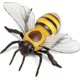thumbnail image 1 of Figura de abeja de Safari Ltd. - Modelo realista de 14 cm - Juguete educativo para niños, niñas y niños a partir de 3 años, 1 of 5