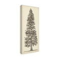 thumbnail image 2 of Trademark Fine Art 'Pacific Northwest Tree Sketch I' Canvas Art by Melissa Wang, 2 of 3