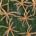 thumbnail image 2 of Miangastore Topper d'Antenne en Forme de Cactus Multicolore 1Pcs 3.1x3.1x3.1in, 2 of 8