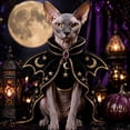 thumbnail image 3 of Halloween Cat Costume Witch Cloak Wizard Hat Pet Outfit for Cats Funny Dress Up Apparel for Halloween Parties Photos, 3 of 8