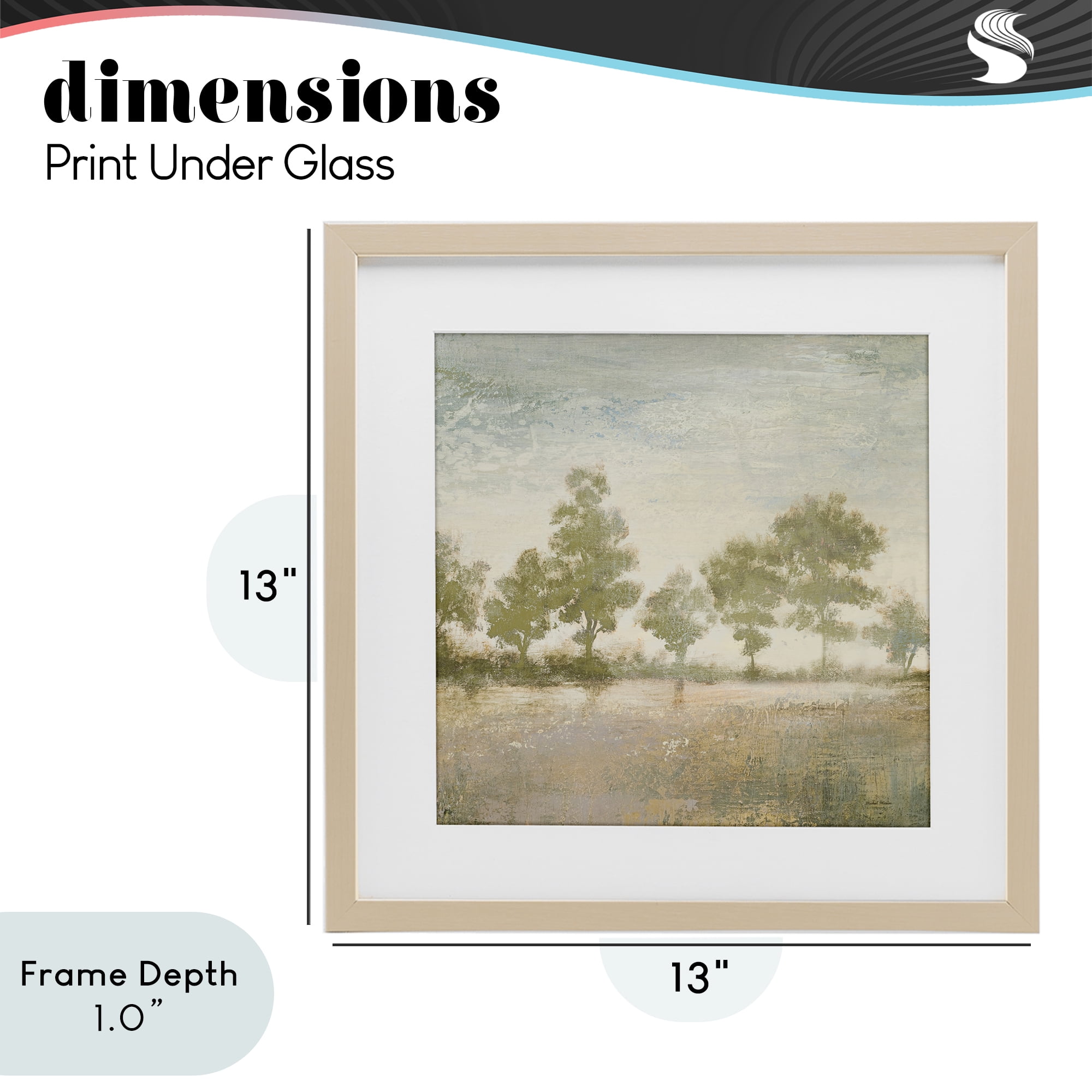 Stupell Industries Forest Light Landscape Birch Framed Print Under Glass, design by Michael Marcon
